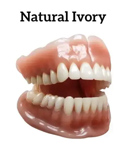 Advanced Customized Full Denture Set - Image 3