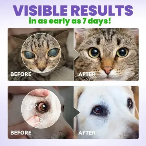 PetPro Eye Drops - Image 4