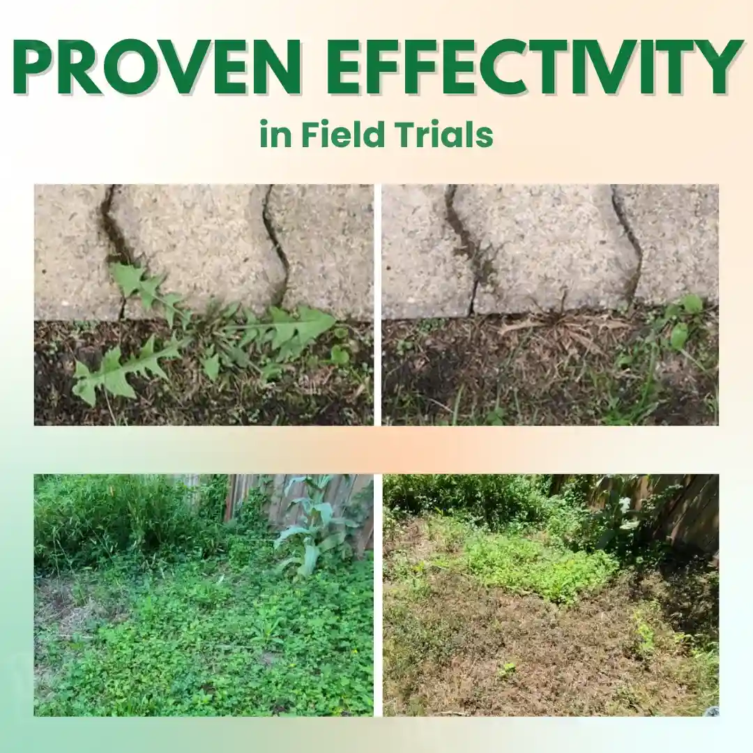 5 in 1 Max Power Herbicide - Image 2