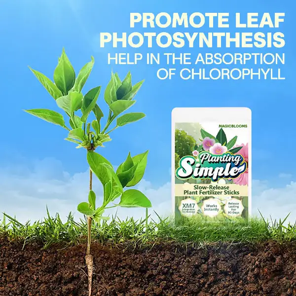 MagicBlooms Slow-Release Plant Fertilizer Spikes - Image 5
