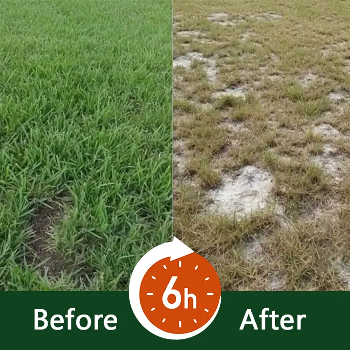2 in 1 Max Power Herbicide - Image 4