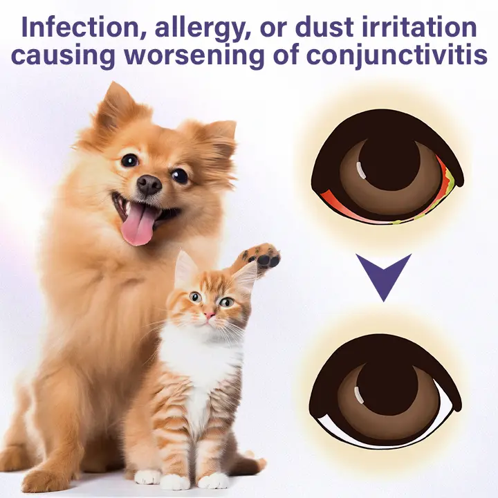 NanoCare Pet Eye Drops - Image 6