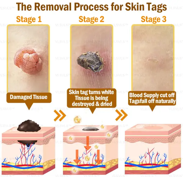 Bee Venom Skin Restoration Cream - Image 11