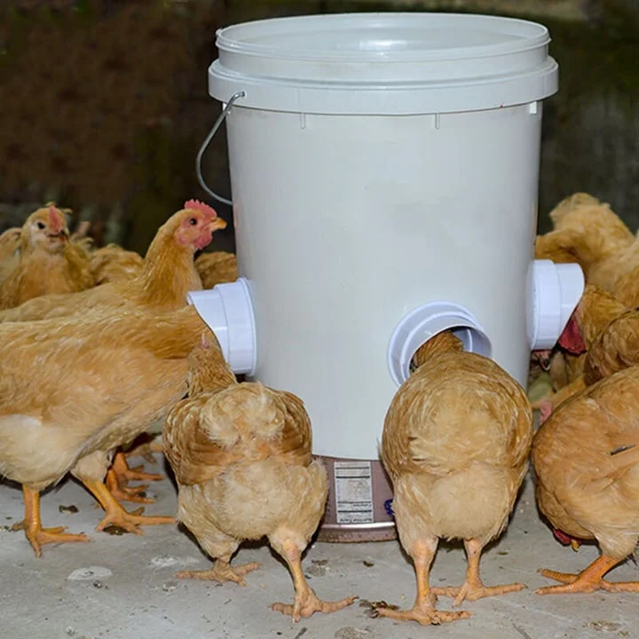 DIY Chicken Feeder - Image 7
