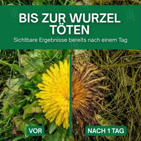3 in 1 Herbizid Maximaler Leistung - Image 4