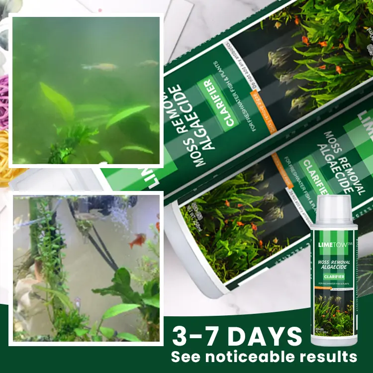Moss Removal Algaecide and Clarifier - Image 5