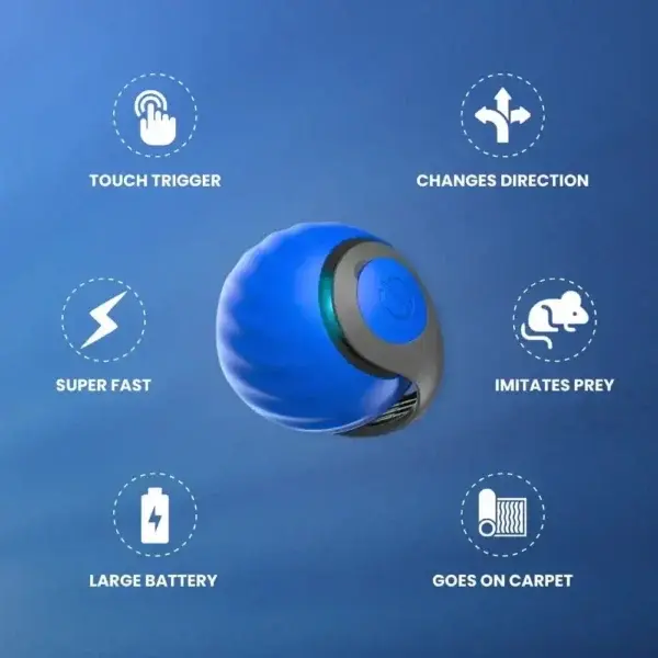 SPEEDY TAIL 2.0 - Image 3