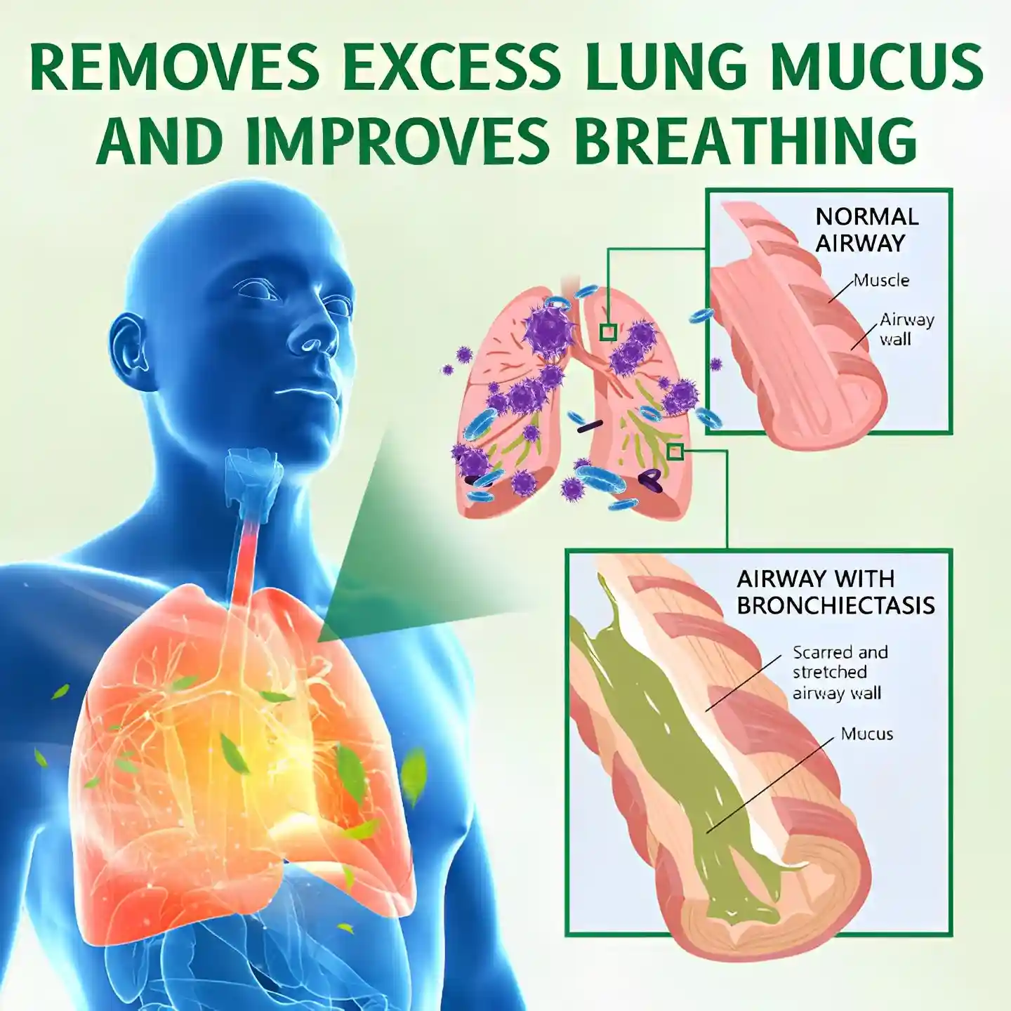3X Concentrated Mullein Lung Cleanse Spray - Image 5