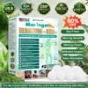 𝑴𝒐𝒓𝒊𝒏𝒈𝗮 · 𝗕𝗲𝗿𝗯𝗲𝗿𝙞𝙣𝙚 × 𝙉𝘼𝐃+ 𝟏𝟎-𝐢𝐧-𝟏 𝗔𝗱𝘃𝗮𝗻𝗰𝙚𝙙 𝙉𝙖𝙣𝙤 𝙈𝙞𝙘𝙧𝙤𝙣𝙚𝙚𝐝𝐥𝐞 𝐏𝐚𝐭𝙘𝙝