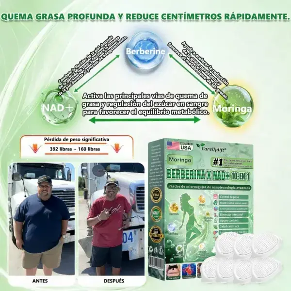 🇺🇸 Tienda Oficial | Moringa · Berberina × NAD+ 10-en-1 Advanced Nano Microneedle Patch