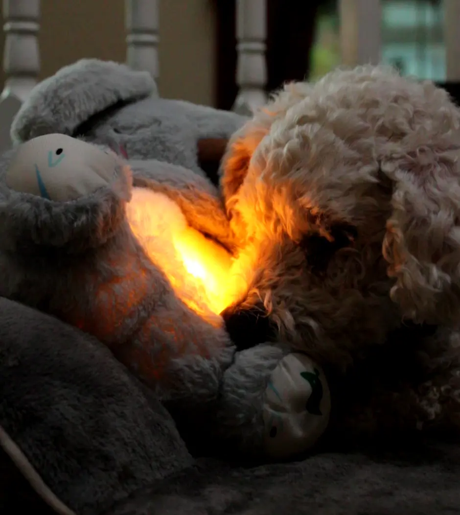 - Breathing Koala Plush - Image 2