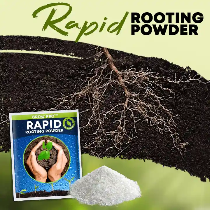 Rapid Rooting Powder