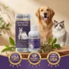 Herbal Pet Ear Drops