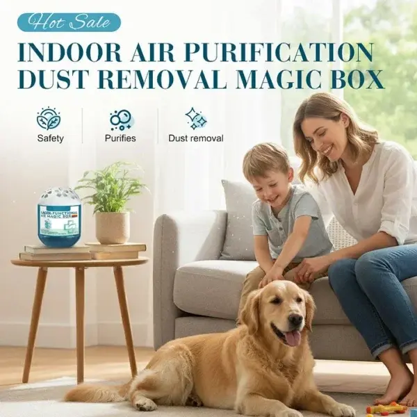 LAOZIK Indoor Air Purification Dust Removal Magic Box - Image 7