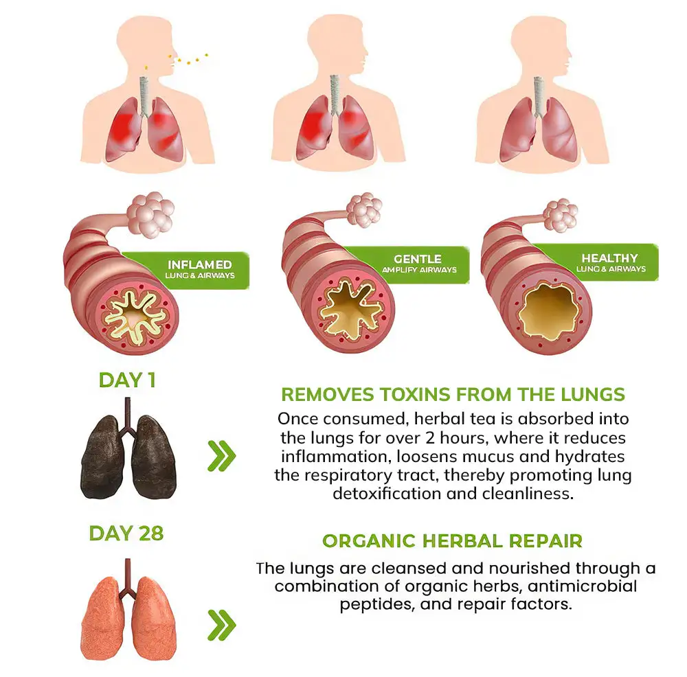 MULLEIN Natural Herbal Tea For Lung Cleanse And Respiratory Support - Image 10