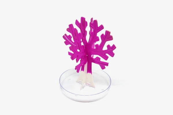 Magic Growing Tree - Image 2
