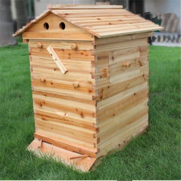 The Honey Sweet Hive - Image 3