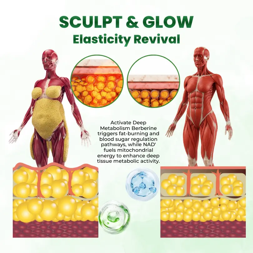 SculptAura Moringa • Berberin + NAD+ 10-in-1 Nano-Microneedle-Patch - Image 7