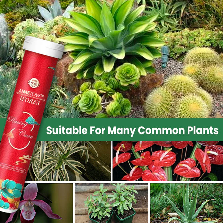 Universal Slow-Release Tablet Organic Fertilizer - Image 5
