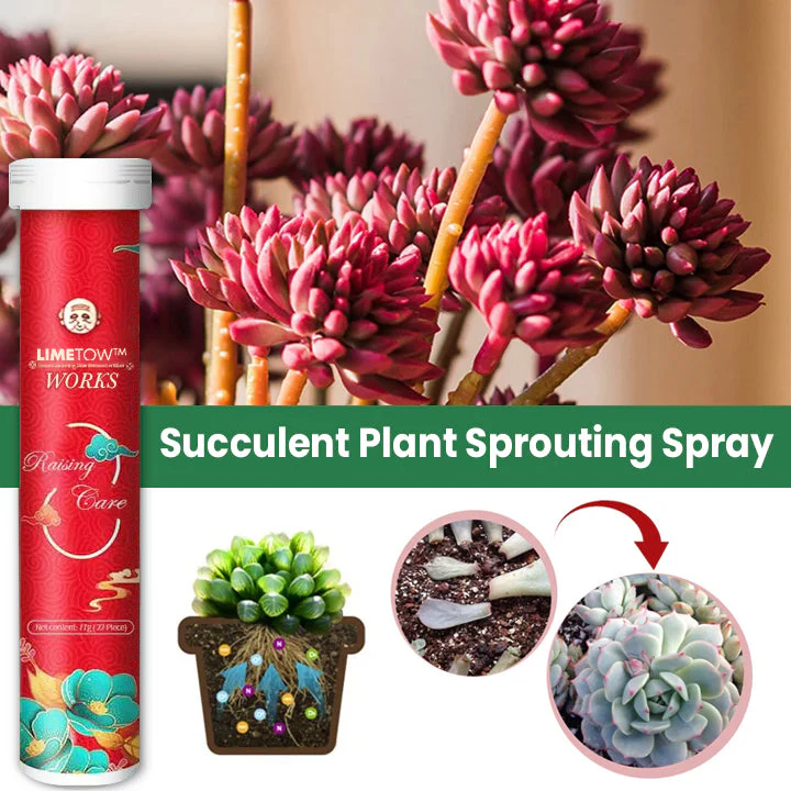 Universal Slow-Release Tablet Organic Fertilizer - Image 6