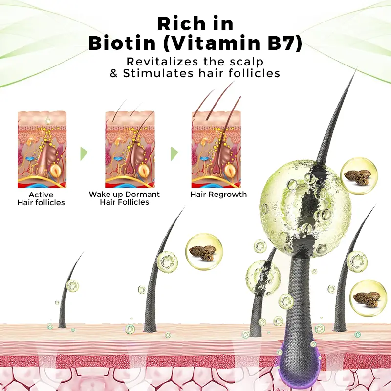 𝐎𝐟𝐟𝐢𝐜𝐢𝐚𝐥 𝐒𝐭𝐨𝐫𝐞 | Hair Regrowth System For Hair Growth & Eyebrow Nourishment - Image 4