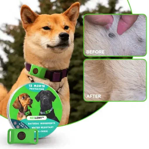 12Month Natural Flea Tick Protection Pendant