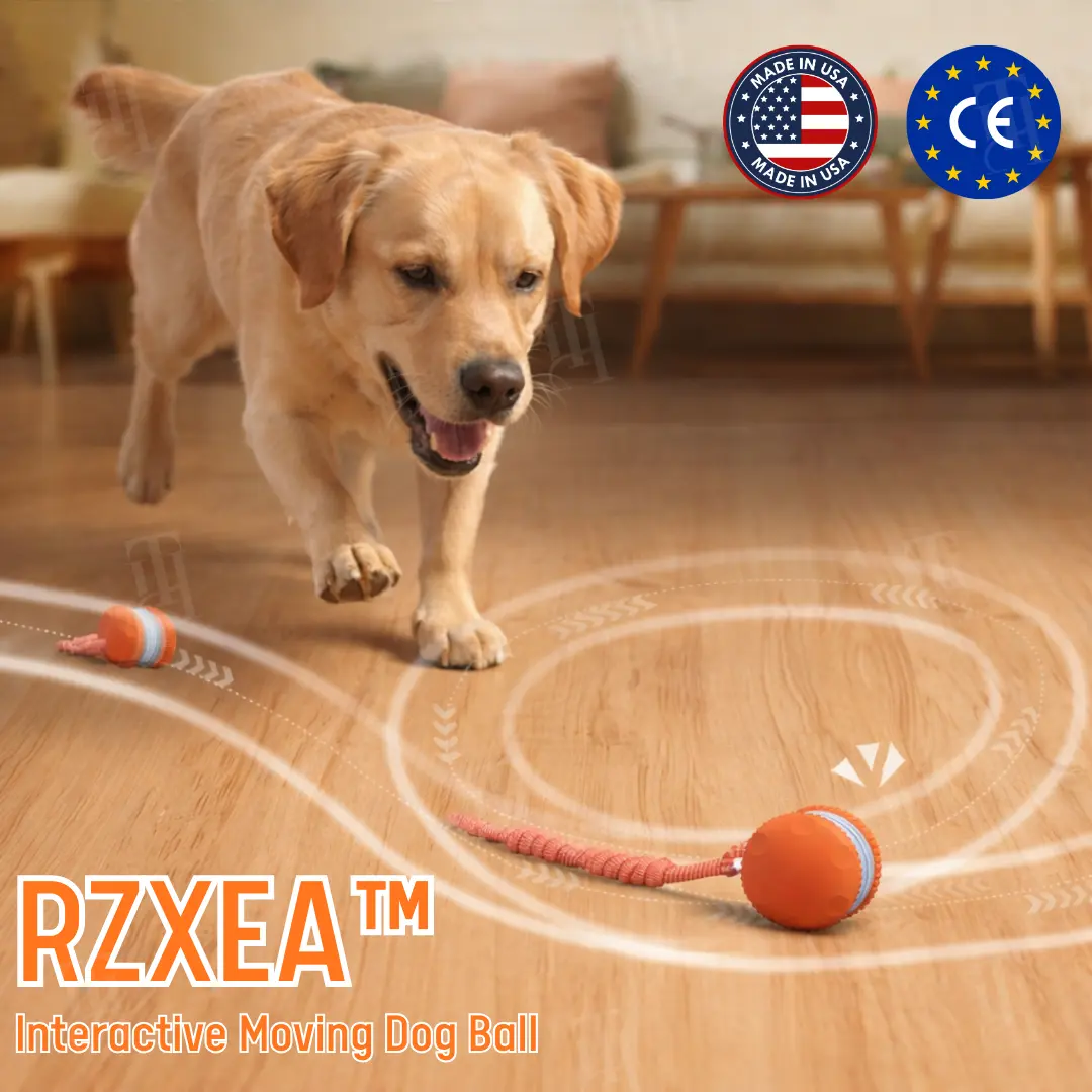 No More Guilty Entertains Your Pup 24/7.