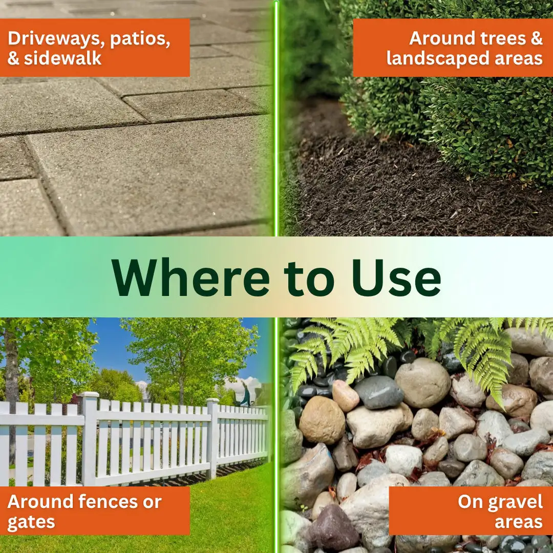 2-in-1 Weed Killer | Same-Day Results & Kills Roundup-Resistant Weeds - Image 2