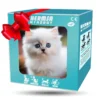 My Realistic Kitten Robot