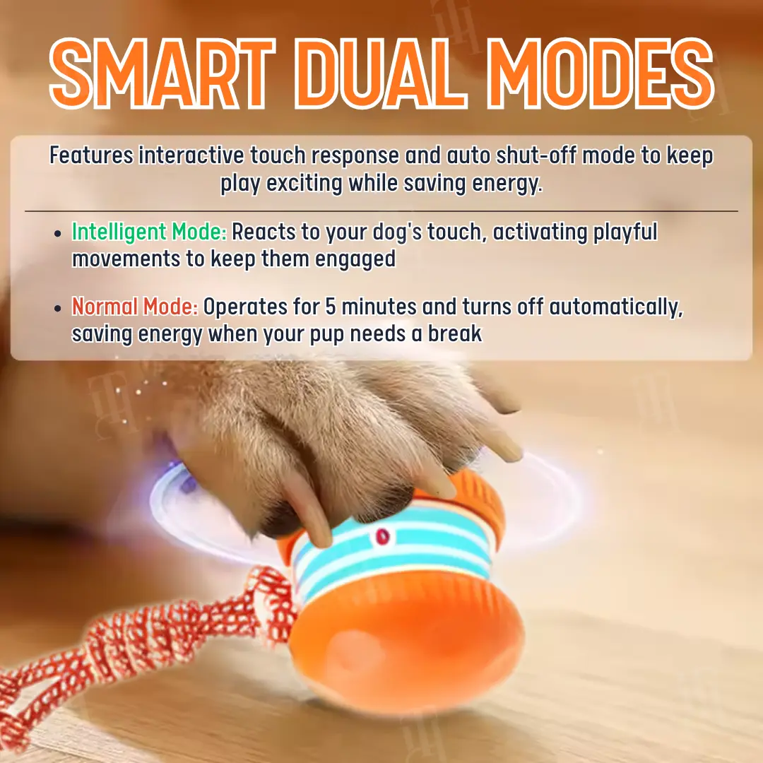 Interactive Moving Dog Ball (๐๐% ๐๐ฝ๐ฝ ๐๐ก๐๐ฆ ๐๐ก ๐ญ๐ฌ ๐ ๐๐ก๐จ๐ง๐๐ฆ) - Image 5