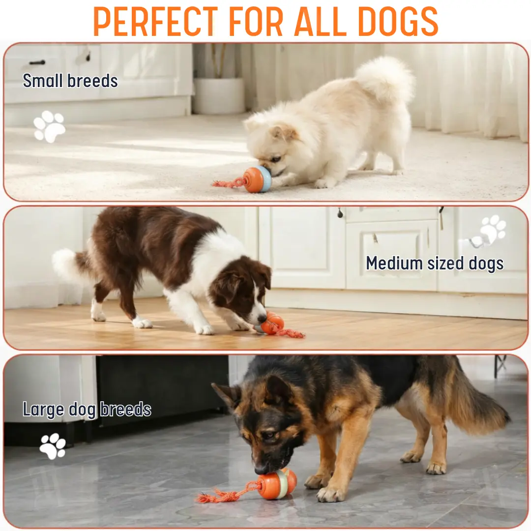 Interactive Moving Dog Ball (๐๐% ๐๐ฝ๐ฝ ๐๐ก๐๐ฆ ๐๐ก ๐ญ๐ฌ ๐ ๐๐ก๐จ๐ง๐๐ฆ) - Image 6
