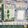 10-in-1 Microneedle Patch