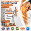 Pain-Relief Bone-Healing Microneedle Patch